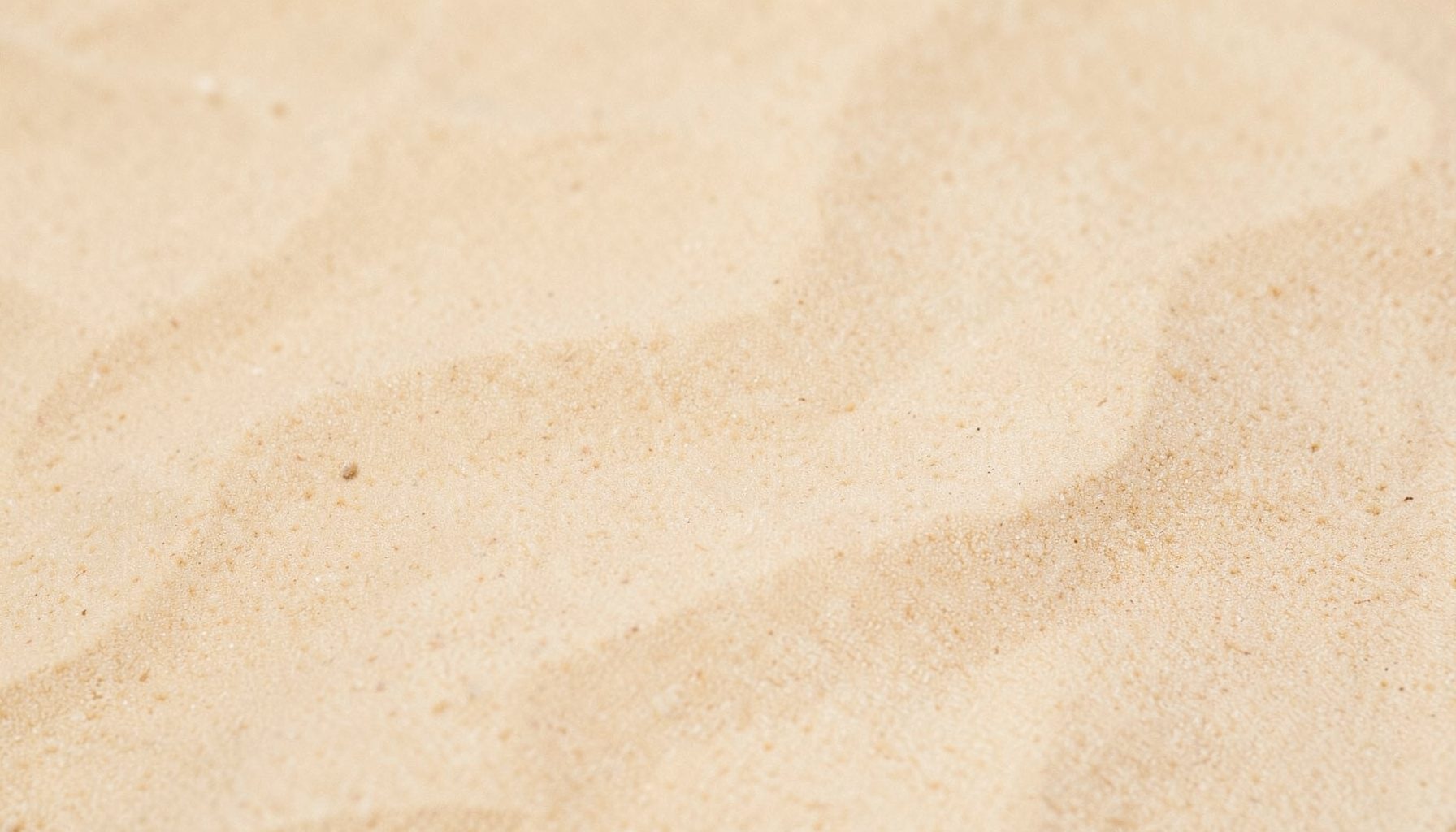 Soft neutral sandy-beige backdrop with subtle texture, warm and inviting