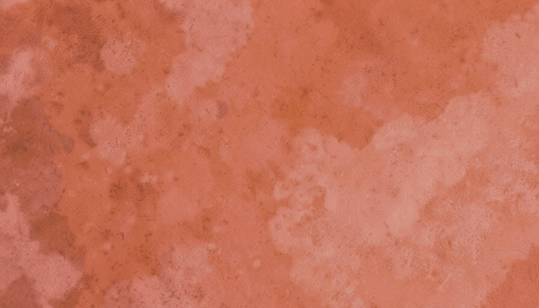 Warm terracotta and dusty rose abstract texture with soft photographic depth
