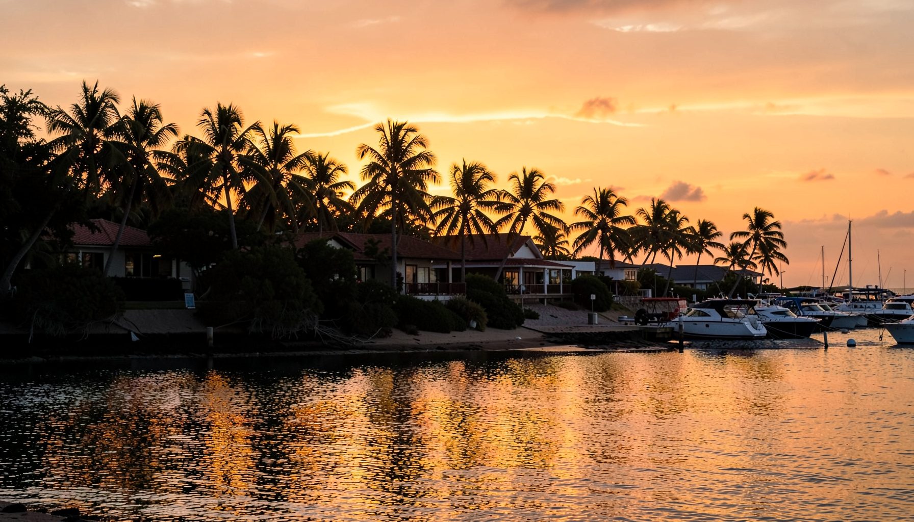 Sunset over Tangalooma Island Resort with silhouetted palm trees, golden-orange sky reflecting on calm bay waters, and a line of moored boats near the shore